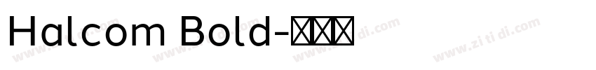 Halcom Bold字体转换
